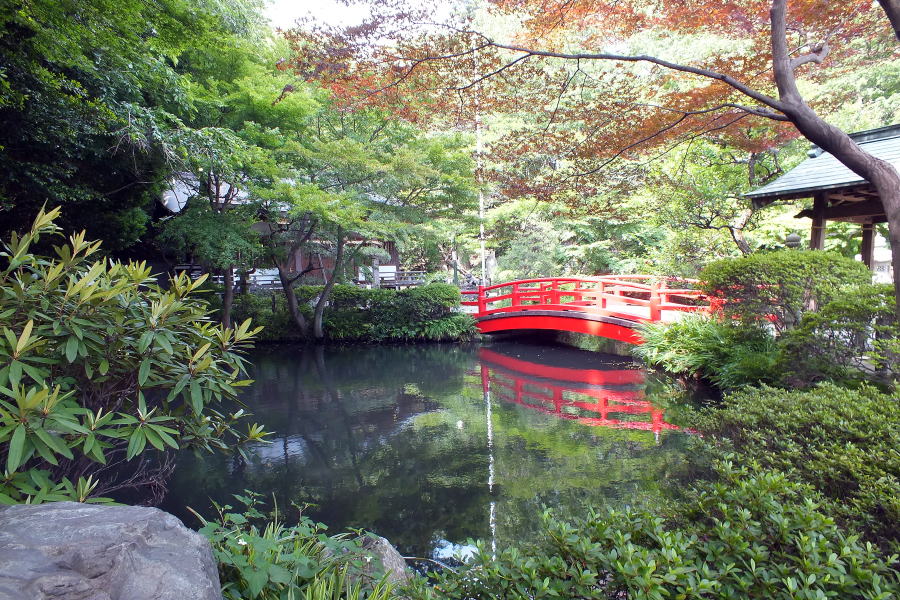 貫井神社湧出池