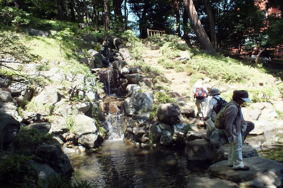 殿ヶ谷戸庭園