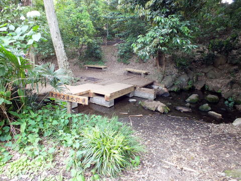 竹林公園湧出池