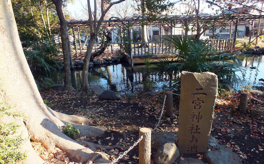 二宮神社湧水池
