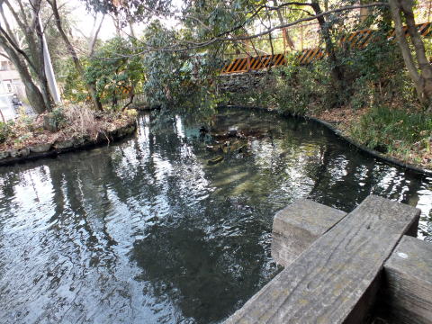 黒川清流公園湧出池