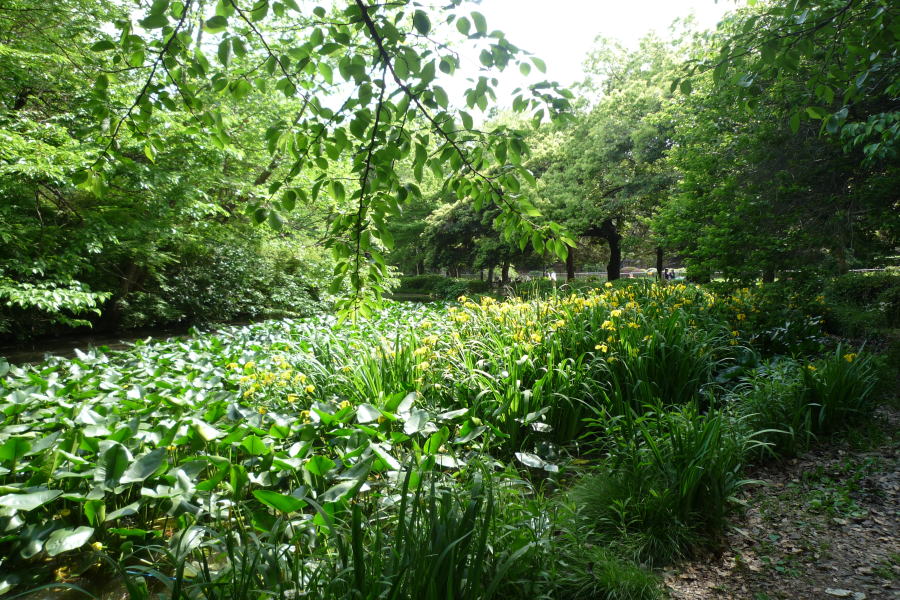 和田掘公園