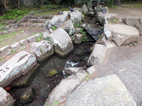 東山貝塚公園湧水口