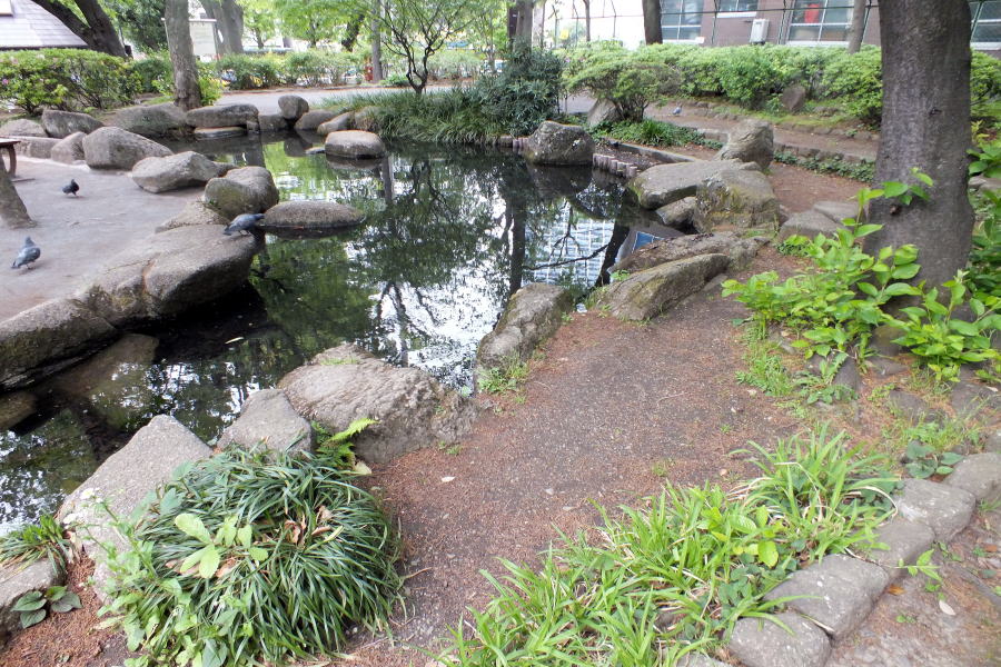 東山貝塚公園湧水池