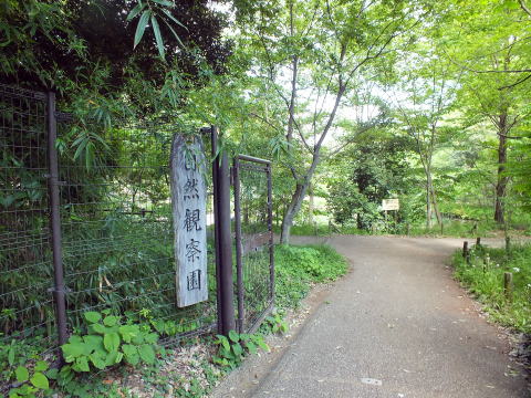 自然観察園入口