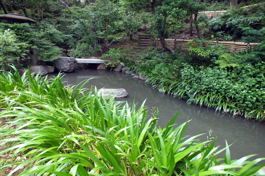五島美術館湧水池