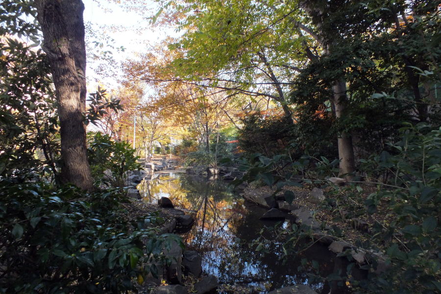 小豆沢公園湧水池