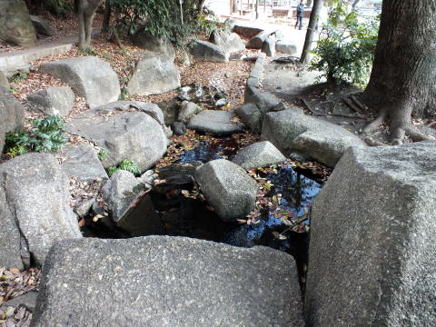 江戸川公園湧水口