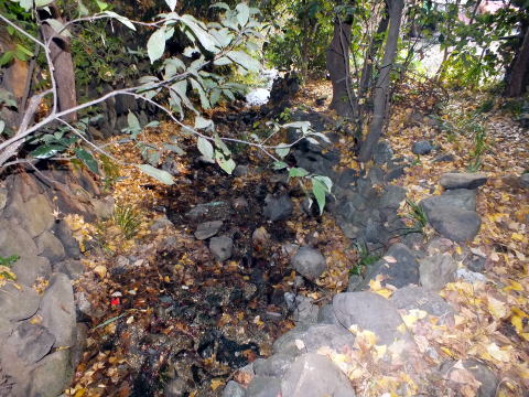 白滝神社湧水口