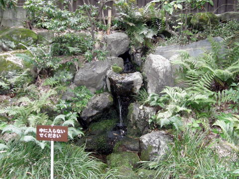 実篤公園湧水口